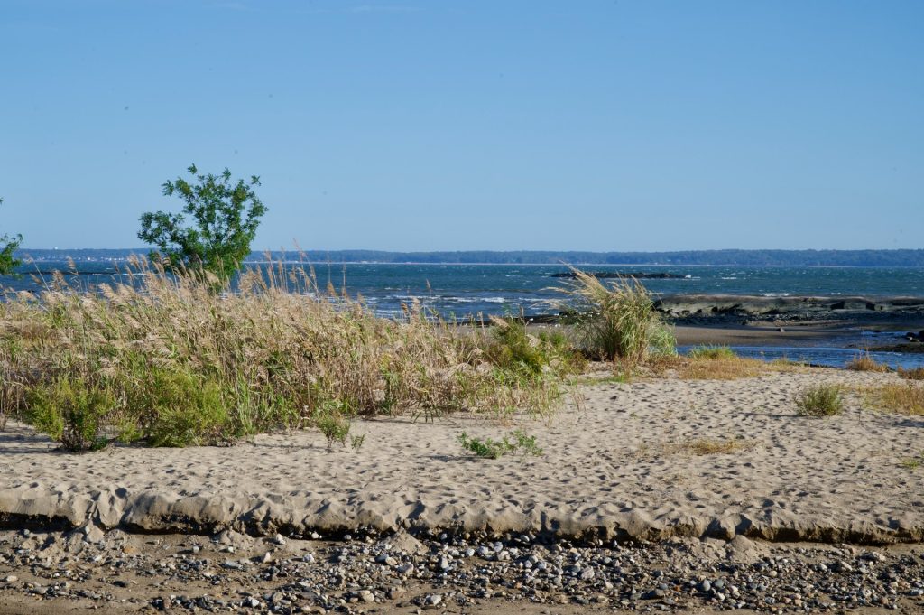 Shoreline