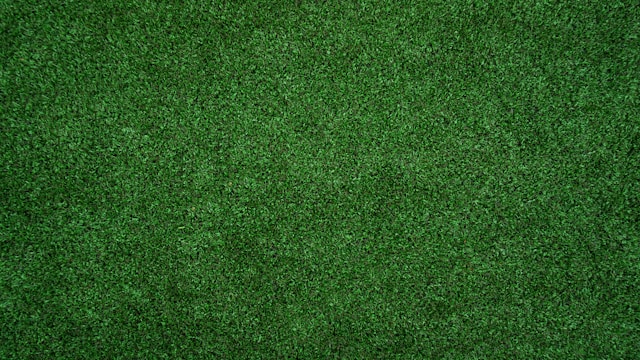 Turf Installation