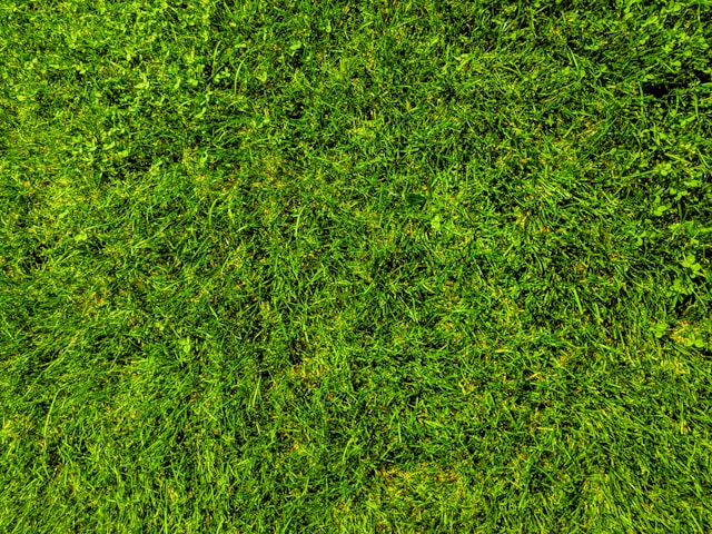 Sustainable Turf Installation in Vermont: How Open Earth Landscaping Designs Lawns for Long-Term Health and Beauty