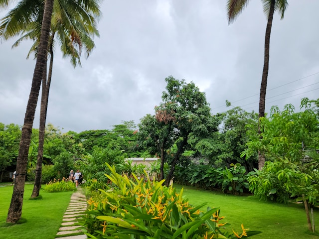 Designing a Vermont Backyard Oasis: How Professional Hardscape & Landscape Design Transforms Outdoor Living