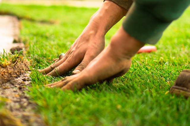 How Professional Turf Installation Can Transform Your Outdoor Space